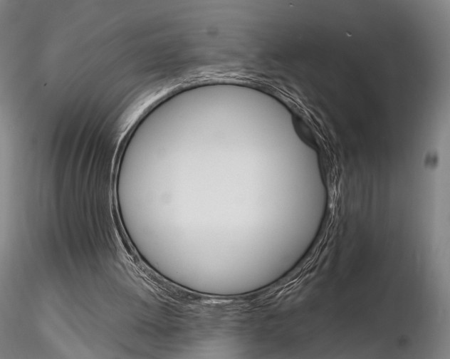 X0000115700052200912031515