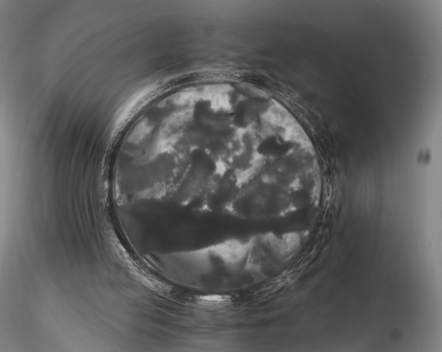 X0000115700053200912031515