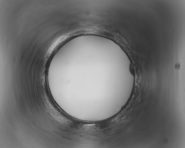 X0000115700054200912031515