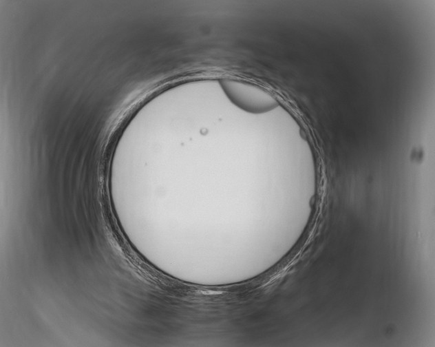 X0000115700055200912031515