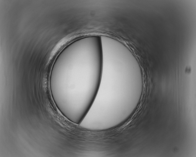 X0000115700056200912031515