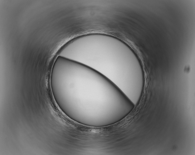 X0000115700060200912031515