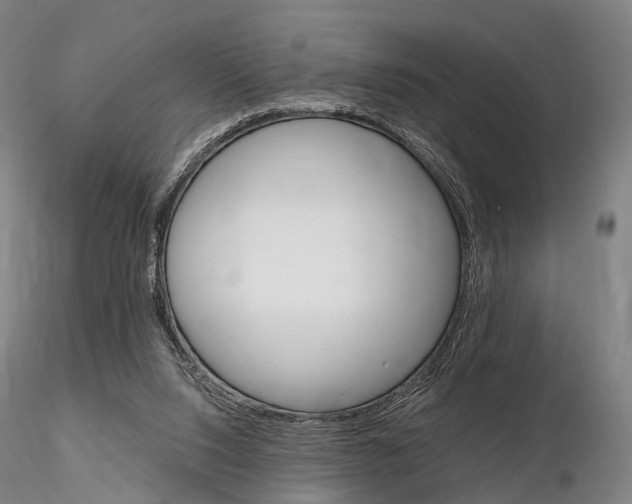 X0000115700064200912031515