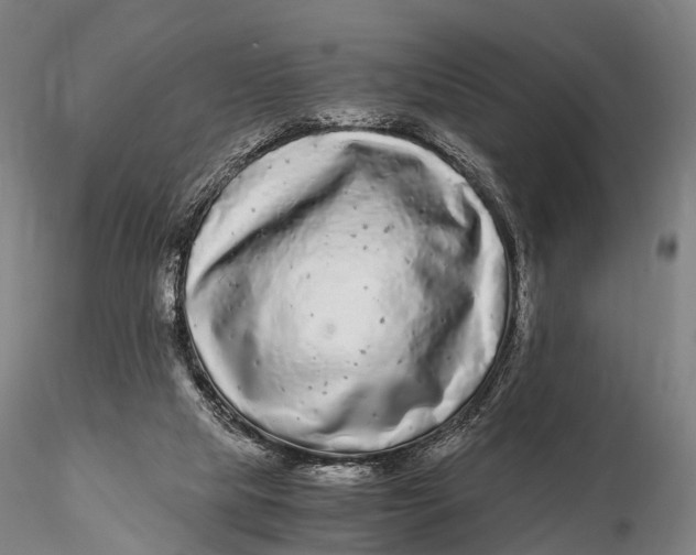 X0000115700065200912031515