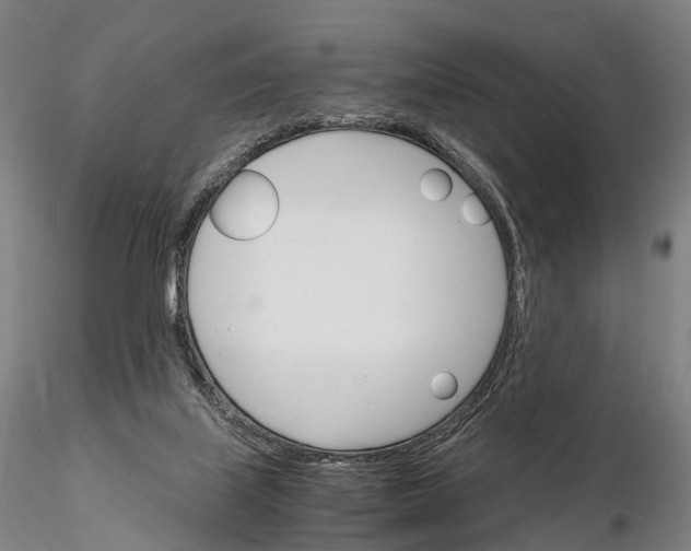 X0000115700067200912031515