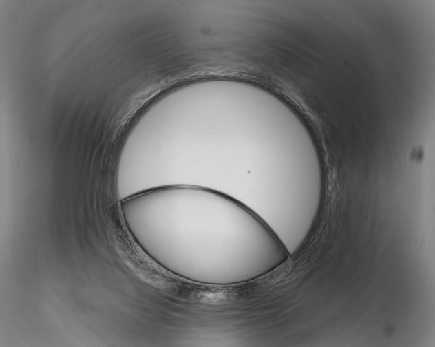 X0000115700068200912031515