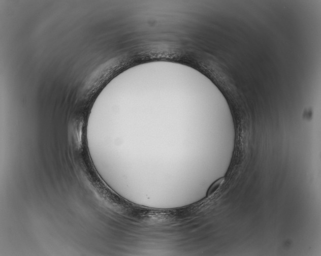 X0000115700070200912031515