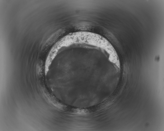 X0000115700073200912031515