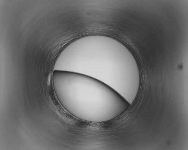 X0000115700076200912031515