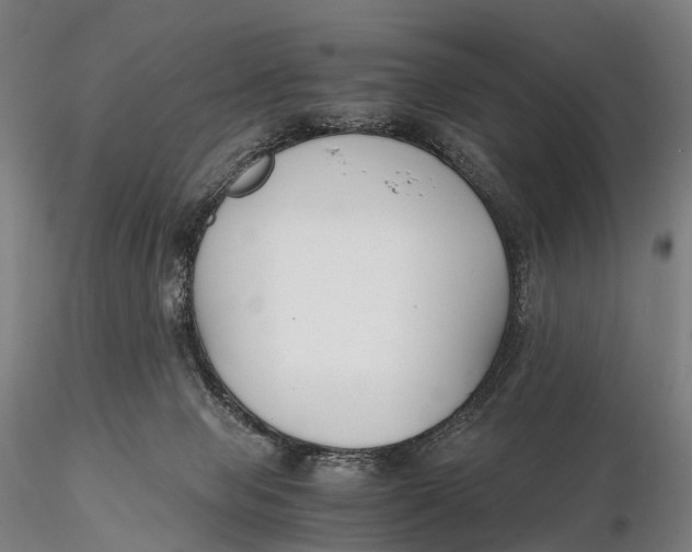 X0000115700077200912031515