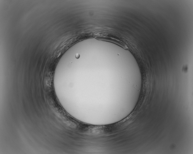 X0000115700078200912031515