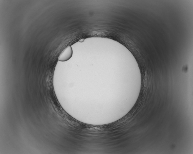 X0000115700079200912031515