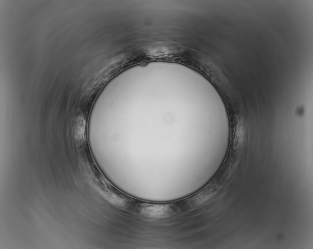 X0000115700081200912031515