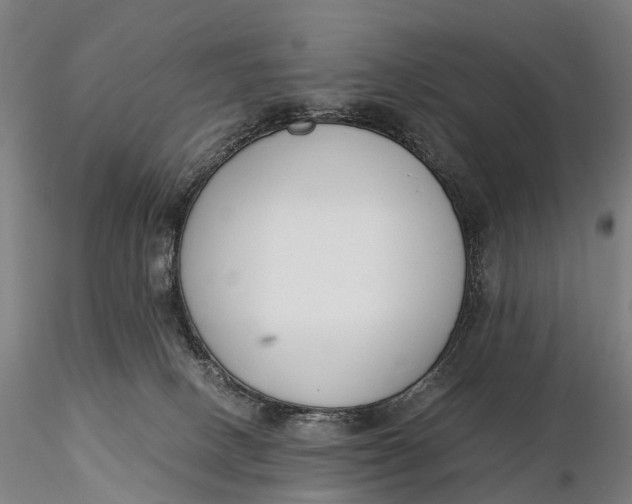 X0000115700082200912031515