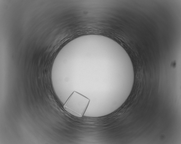 X0000115700084200912031515