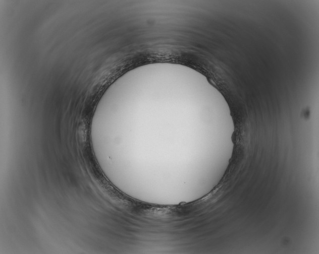 X0000115700086200912031515