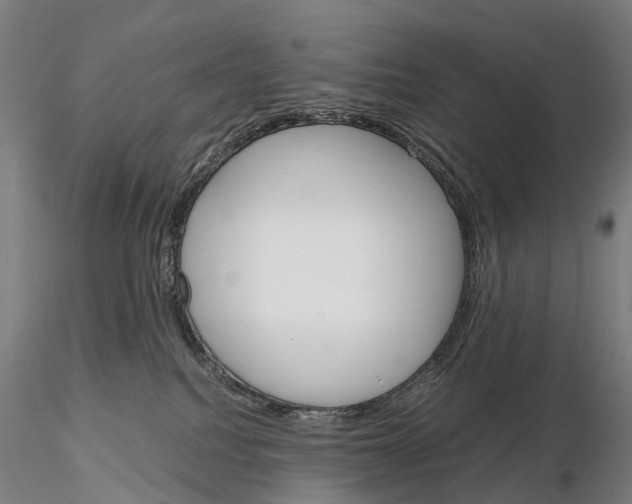 X0000115700088200912031515