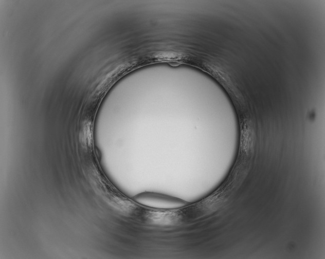 X0000115700093200912031515