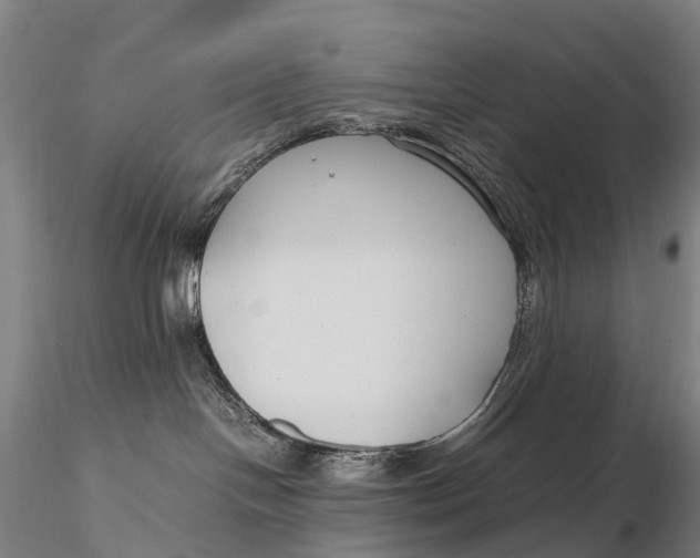 X0000115700094200912031515