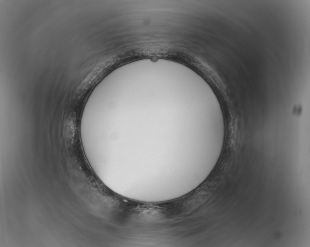 X0000115700113200912031514