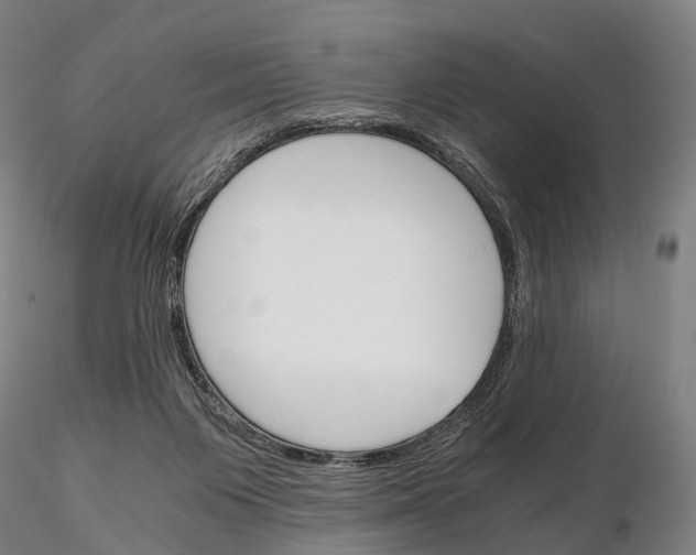 X0000115700119200912031514