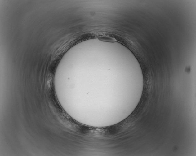 X0000115700125200912031514