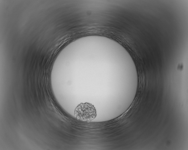 X0000115700128200912031514