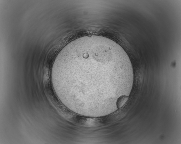 X0000115700130200912031514