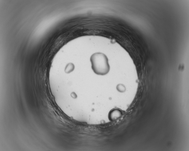 X0000115700146200912031513