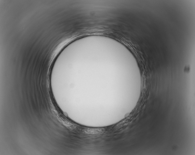 X0000115700147200912031513