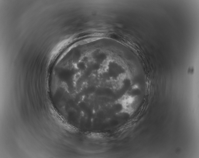 X0000115700149200912031513