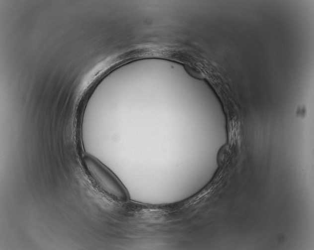 X0000115700150200912031513