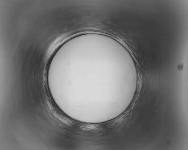 X0000115700151200912031513