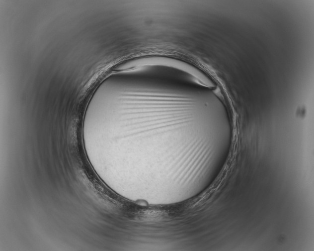 X0000115700154200912031513