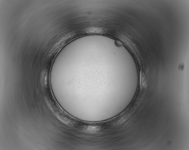 X0000115700157200912031513