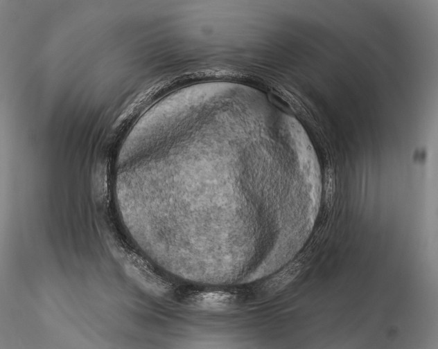 X0000115700158200912031513