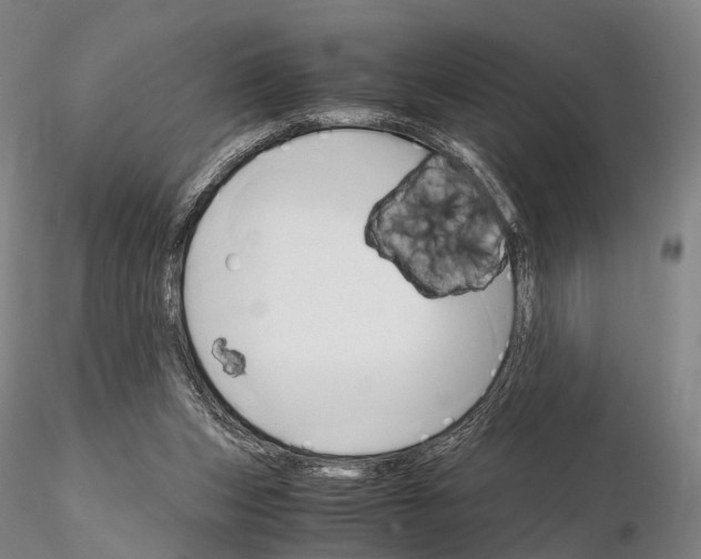 X0000115700159200912031513