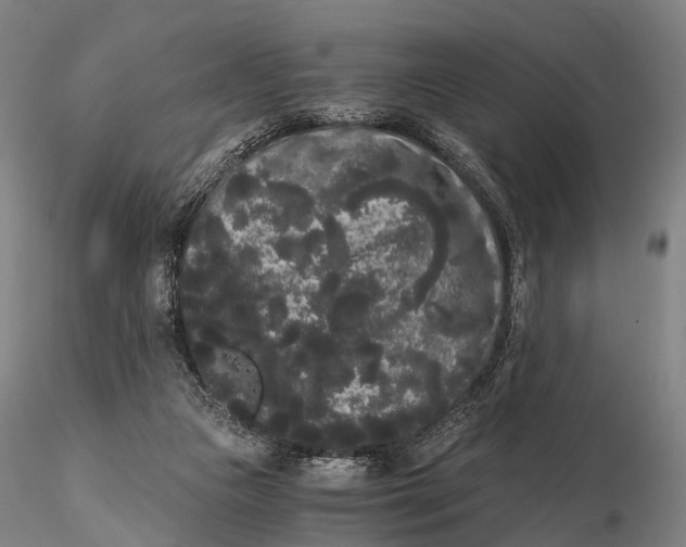 X0000115700161200912031513