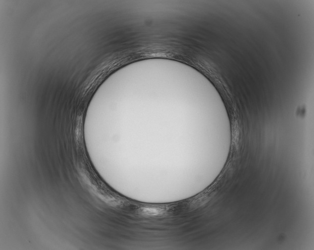 X0000115700167200912031513