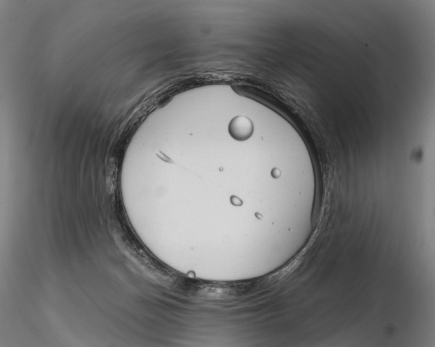 X0000115700174200912031513