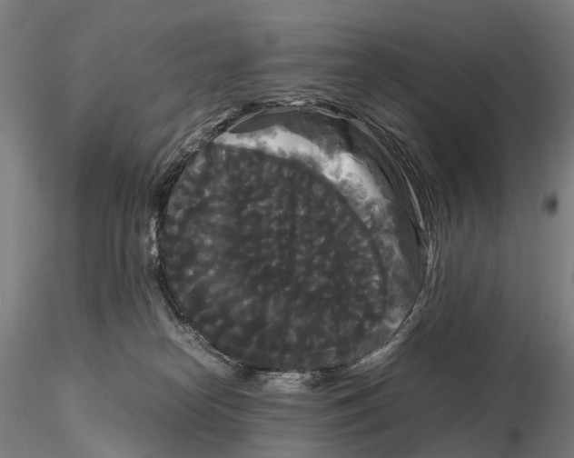 X0000115700182200912031514