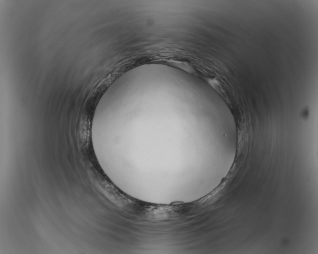 X0000115700186200912031514