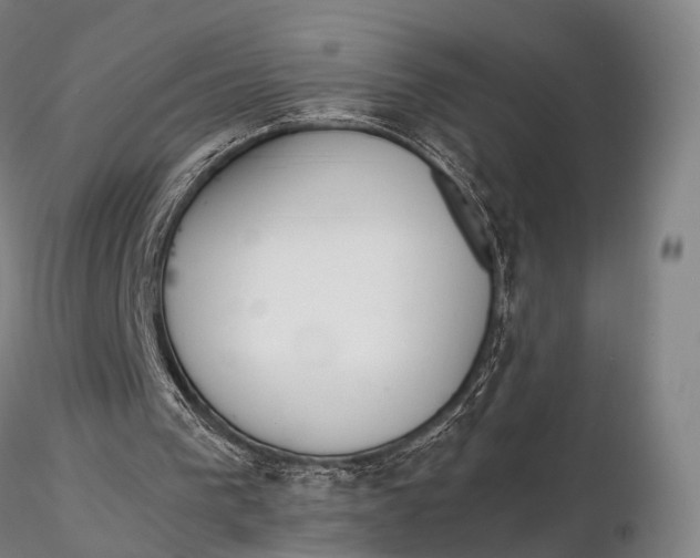 X0000115700193200912031513