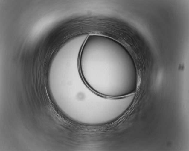 X0000115700195200912031513