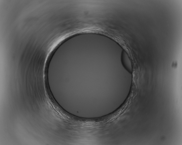 X0000115700196200912031513