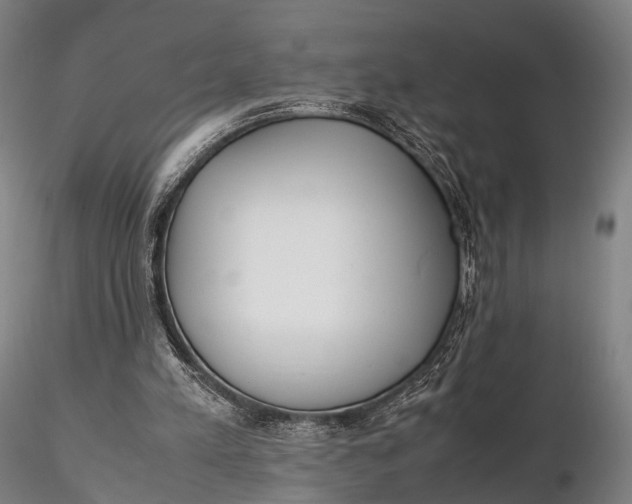 X0000115700197200912031513