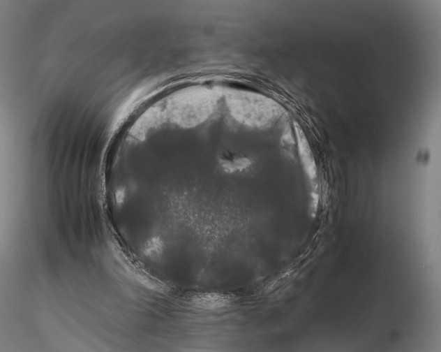 X0000115700198200912031513