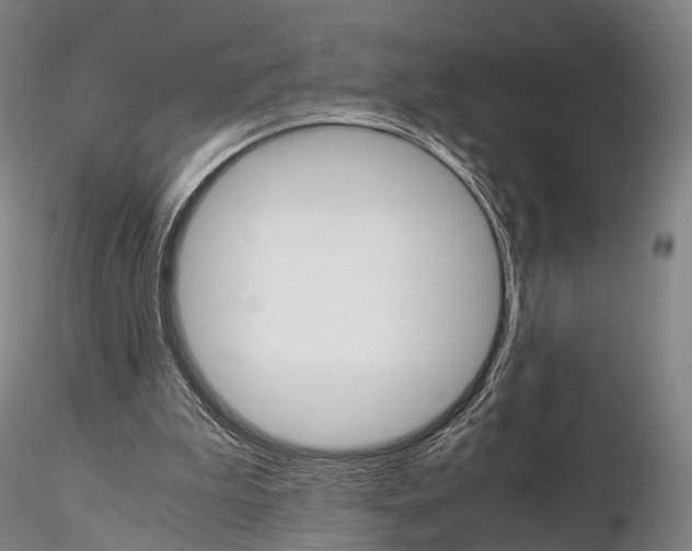 X0000115700199200912031513