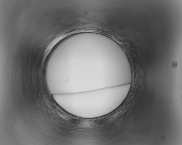 X0000115700200200912031513