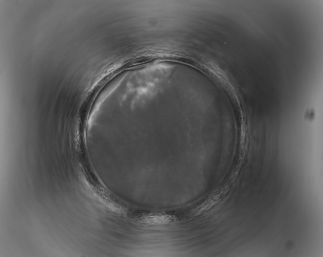 X0000115700202200912031513